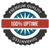 Online Central UPS 100% Uptime Electricity